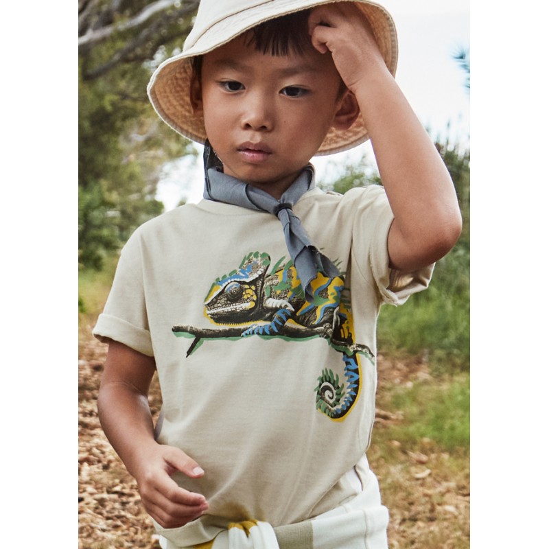 T-shirt m/c caméléon